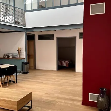 Loft Lumineux En Centre *